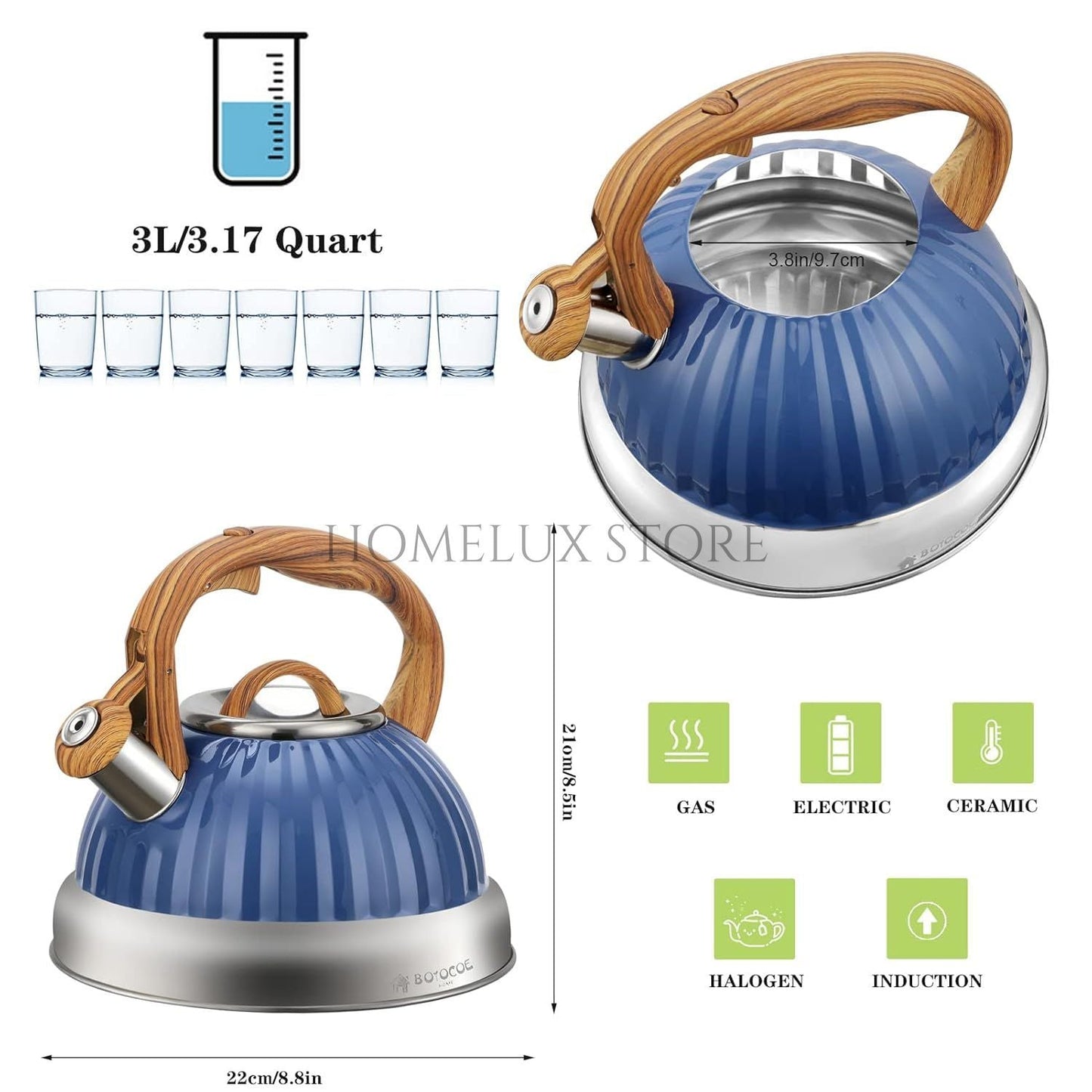 Stainless Steel Whistling Tea Kettle