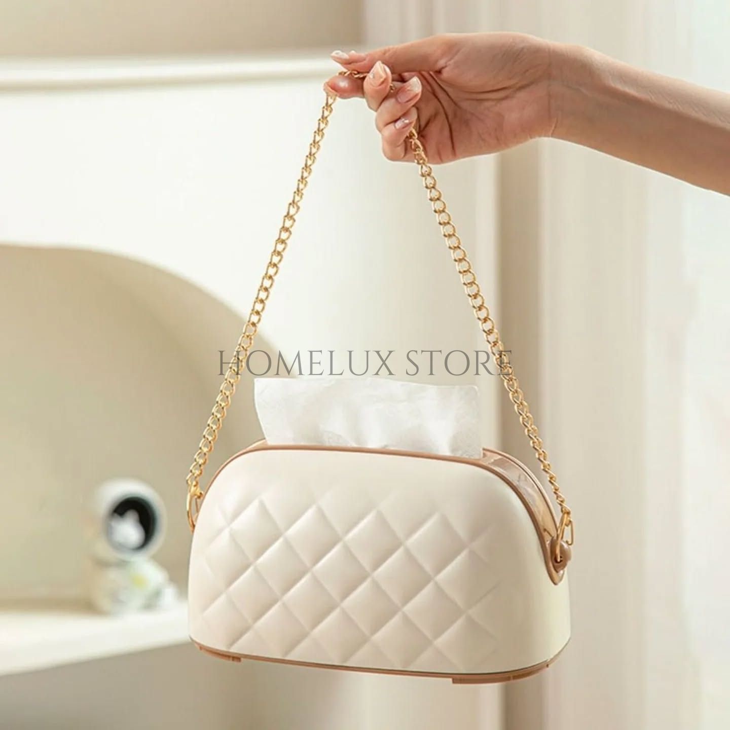 Luxury Bag Shaped Tissue Box